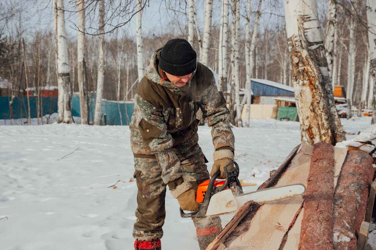 The Steps Involved in Our Tree Care Process in Rome, GA